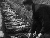 再现纳粹集中营惨状：美军解放后掩埋尸体(组图)